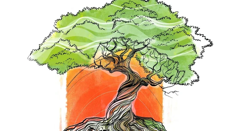 Aile ve Nüfus 10 yılı: Türkiye nin geleceğine açılan bir kapı Düşünce Günlüğü Haberleri