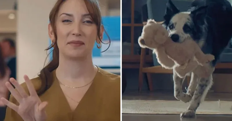 Aile ve Sosyal Hizmetler Bakanlığı, Bosch un anneler günü reklamından davacı oluyor