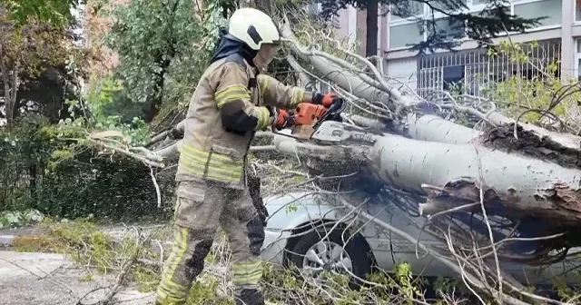 Beylikdüzü’nde Rüzgarın devirdiği 10 metrelik ağaç otomobili hurdaya çevirdi VİDEO İZLE