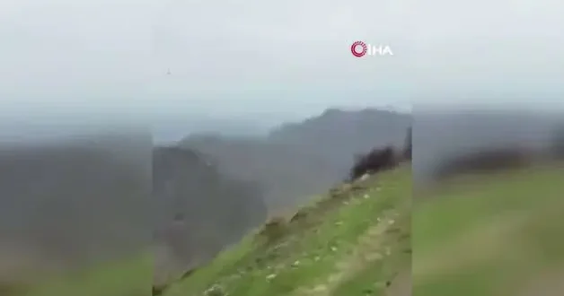 Şırnak ta hayrete düşüren görüntüler: Kartalın domuz avı saniye saniye kamerada