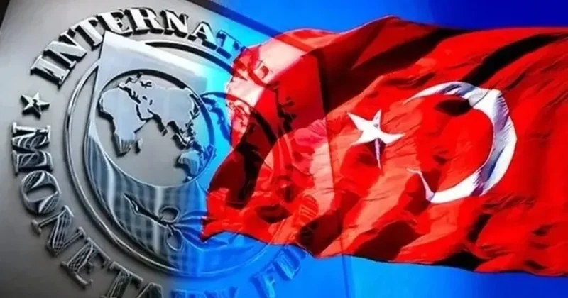IMF’den Türkiye ekonomisine övgü