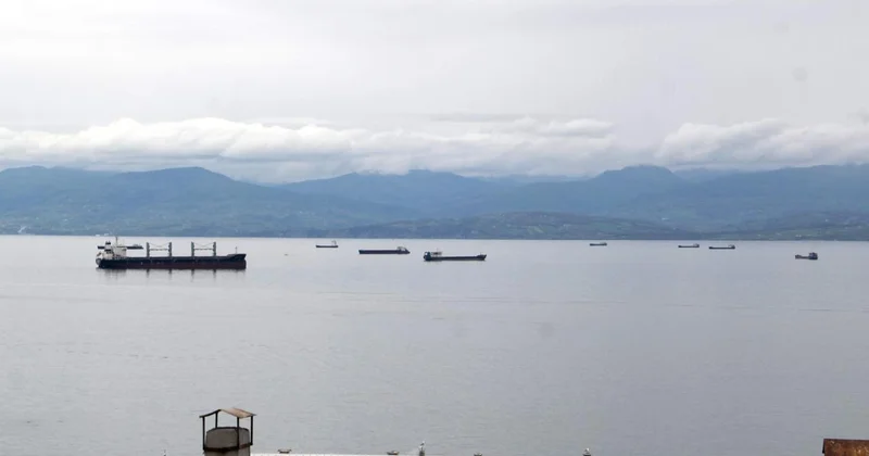 Karadeniz de beklenen fırtına öncesi yük gemileri limanlara demirledi
