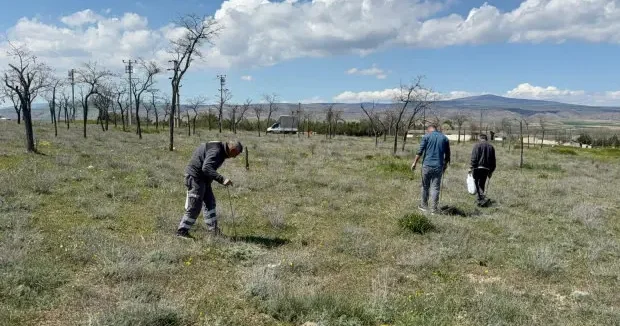Eskişehir haberleri Vatandaşın altın bulsam bu kadar sevinmem dediği ürünün kilogramı 2 bin liraya dayandı 03 Mayıs 2026