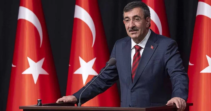 Cumhurbaşkanı Yardımcısı Ermenistan yolcusu