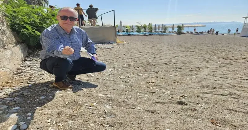 İspanya ve Fransa örnek gösterildi! Kritik çağrı: Yasaklansın