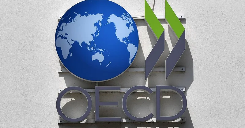 OECD, küresel ekonomik büyümede yavaşlama uyarısında bulundu