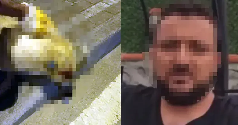 Oğlunu ısıran köpeği öldüren kişiye verilen beraat kararını istinaf bozdu