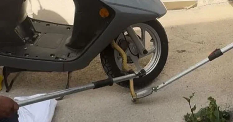 Motosiklette yılan paniği
