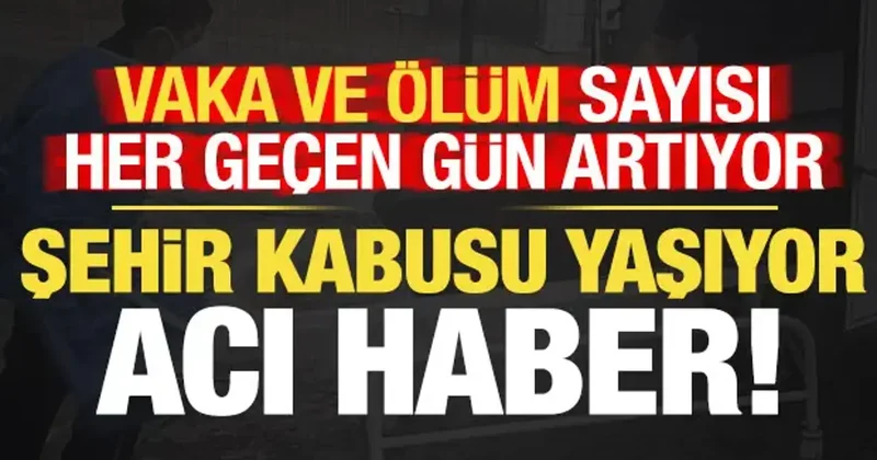 Vaka ve ölü sayısı her geçen gün artıyor! Şehirden bir acı haber daha...