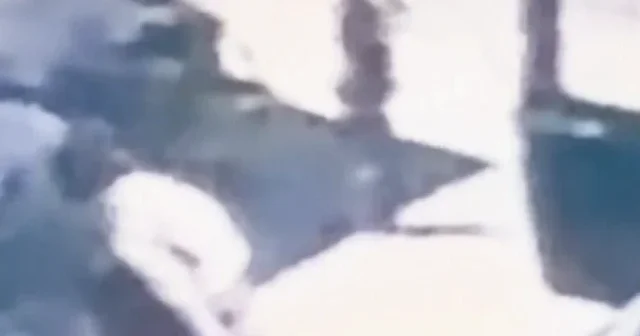 Dilan Polat ın korumasına suikast anı ortaya çıktı VİDEO İZLE