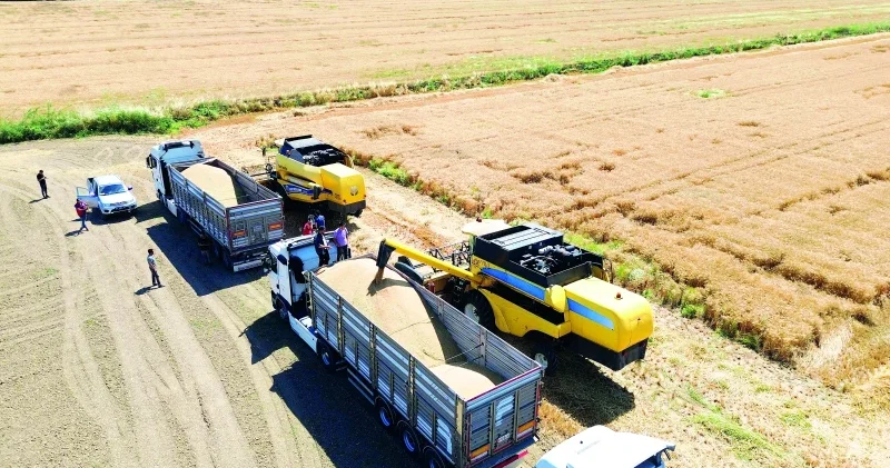 Buğday alım fiyatı 16 bin 500 lira Ekonomi Haberleri