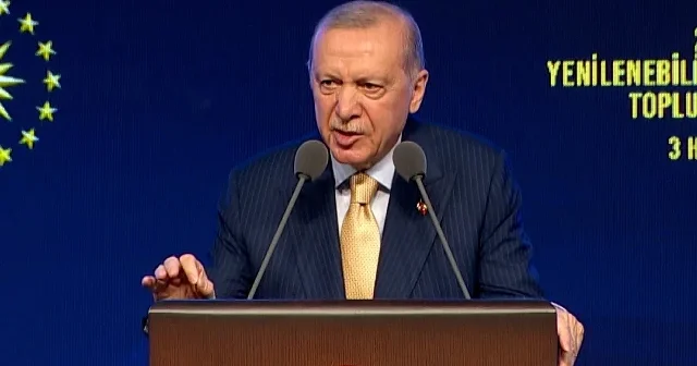 Cumhurbaşkanı Erdoğan: Yenilenebilir enerji yatırımlarımızı sabote edemeyecekler VİDEO İZLE