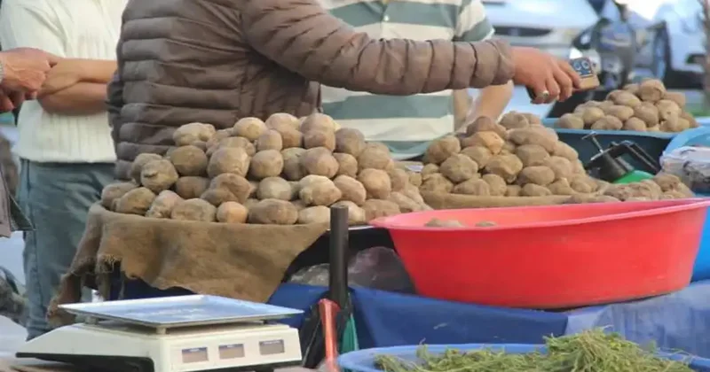 Gören patates sanıyor! Kilogramı 2 bin TL ye dayandı