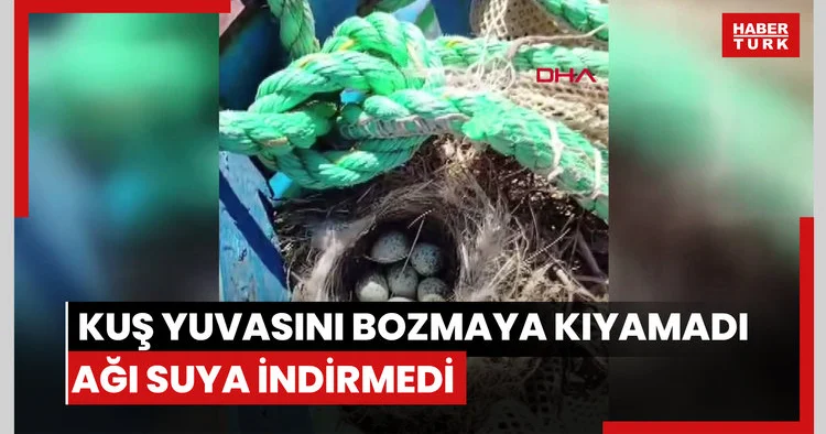 Kuş yuvasını bozmaya kıyamadı, ağı suya indirmedi