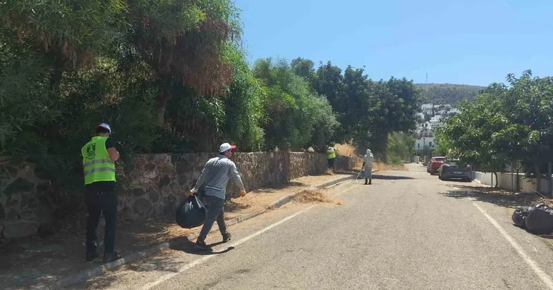 Bodrum da çevre ve yangın güvenliği için kapsamlı ot temizliği