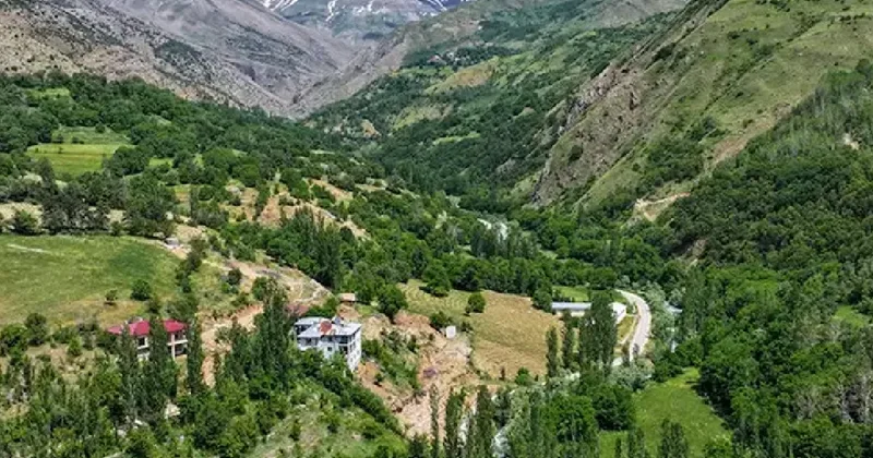 Kimsenin cesaret edemediğini yaptı: Tek başına yılda 2 ton üretiyor Sözcü Gazetesi