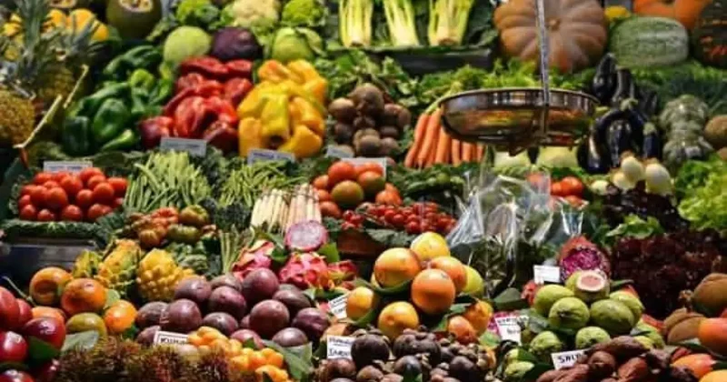 Küresel gıda fiyatlarında düşüş sürüyor! FAO dan dikkat çeken tahıl ve şeker raporu