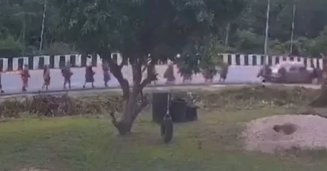 Tayland da katliam gibi kaza: 11 yaşındaki sürücü törene giden rahiplerin arasına daldı VİDEO İZLE