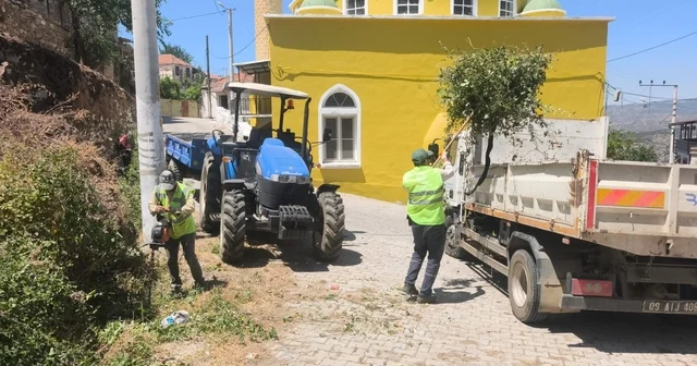 Aydın Büyükşehir den Karpuzlu daki yeşil alanlarda bakım ve düzenleme çalışması Aydın Haberleri Habertürk Yerel Haberler