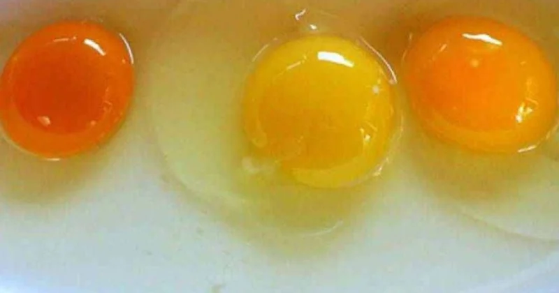 Açık sarı, koyu sarı, turuncu… Rengi böyle olan yumurtayı sakın yemeyin Sözcü Gazetesi