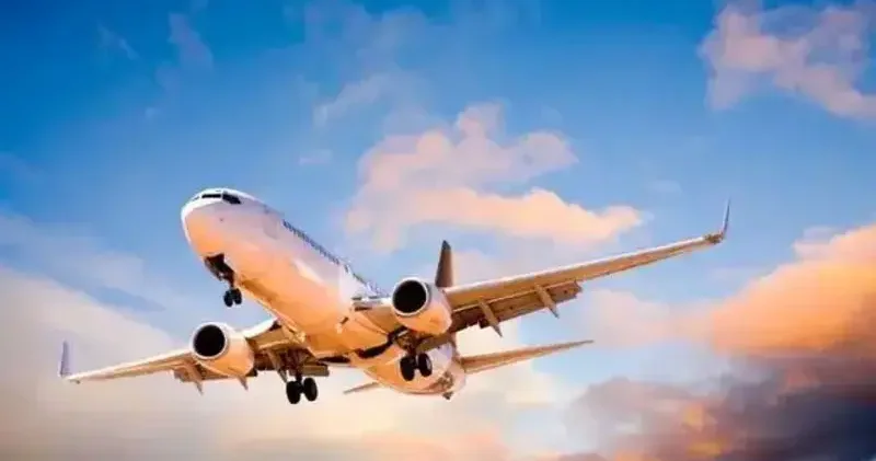2025 yılında pilotlar tarafından en çok kuş çarpma olayları rapor edildi