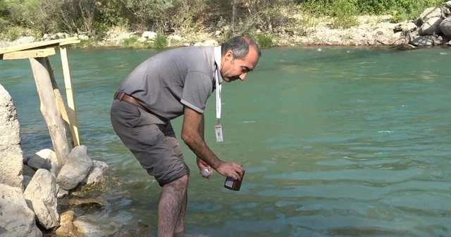 Tunceli deki akarsularda yüzme suyu düzenli olarak denetleniyor Tunceli Haberleri Habertürk Yerel Haberler