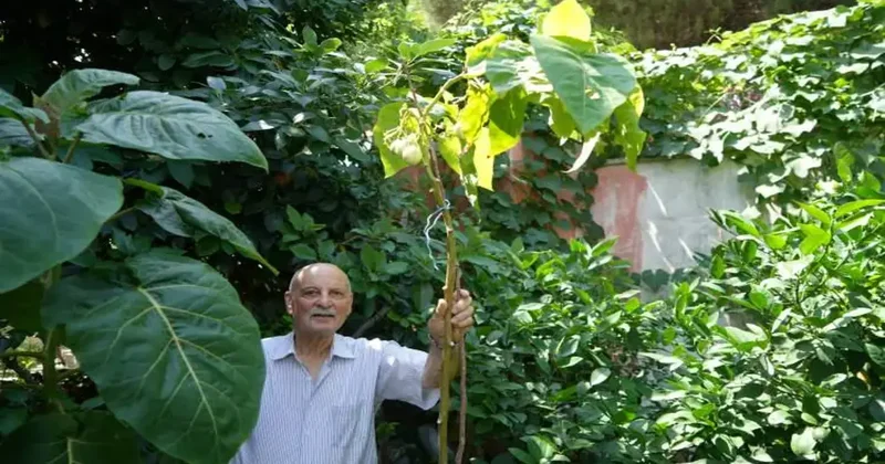 Emekli öğretmen olmaz denileni oldurttu! 50 ülkeden topladı