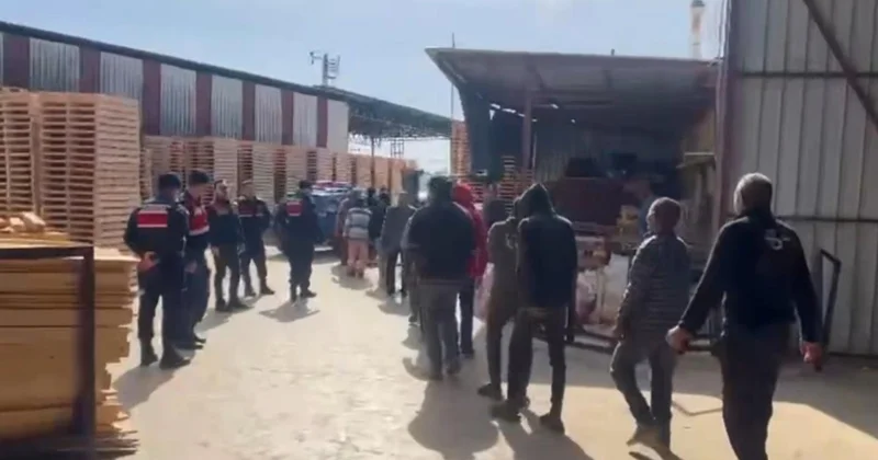 Göçmen kaçakçılarına 31 ilde eş zamanlı operasyon