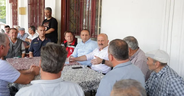 Vali Varol: Yanan alanlar en kısa sürede yeniden yeşillendirilecek Aydın Haberleri Habertürk Yerel Haberler