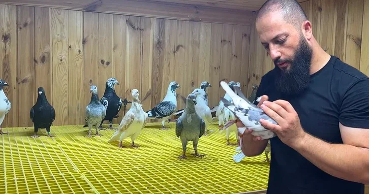 Klimalı kümeste servet besliyor! Otomobil takası teklif edenler oldu