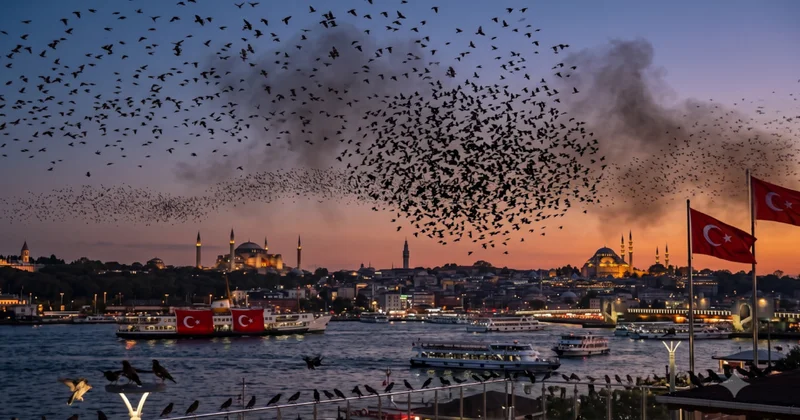 Pakistan dan gelip İstanbul da kabus oldular: Sayıları her geçen gün artıyor! Sözcü Gazetesi