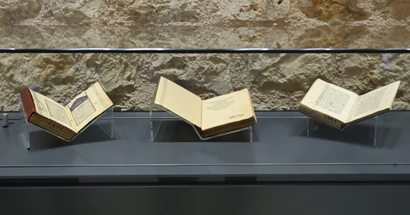 Yeni Yazmalar Koleksiyonu dijital erişime açılıyor