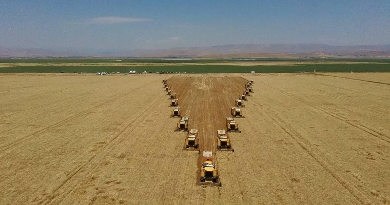 TARSİM den üreticiye 6,6 milyar liralık hasar desteği