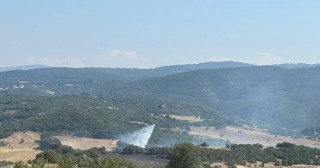 Bilecik te ormanlık alandaki yangın kontrol altına alındı Bilecik Haberleri Habertürk Yerel Haberler