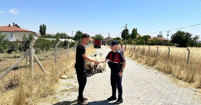 Hayvanları kaybolan çiftçinin yardımına Jandarma ekipleri koştu Yozgat Haberleri Habertürk Yerel Haberler