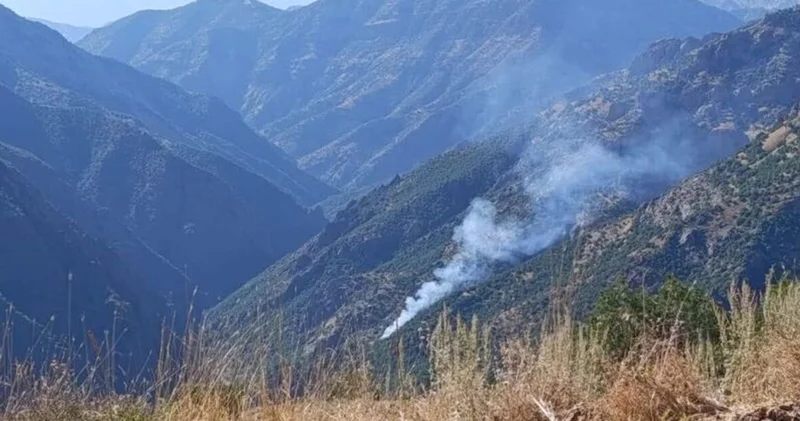 Tunceli Munzur Vadisi nde yangın Son dakika haberleri