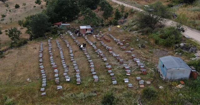 Arıcılıkta yapay zeka dönemi Tokatlı arıcı, yapay zeka destekli mobil sistemle bal üretimini yüzde 40 oranında arttırmayı hedefliyor Tokat Haberleri Habertürk Yerel Haberler