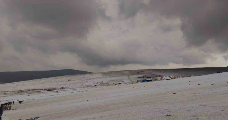 Erzincan yaylalarında dolu ve sağanak tulum peyniri üreticilerinin çadırlarını su bastı