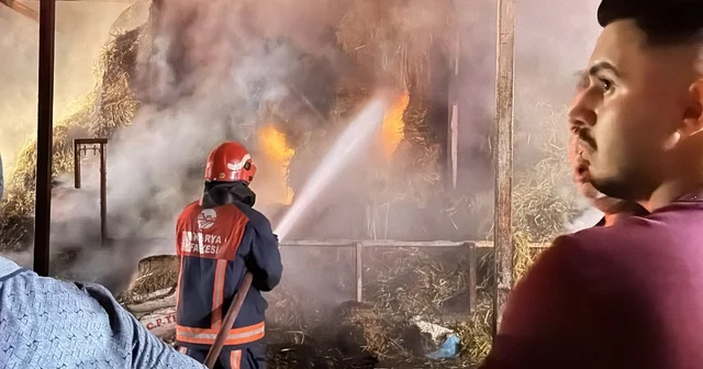 Samanlık alev alev yandı, 4 kişi dumandan etkilendi Sakarya Haberleri Habertürk Yerel Haberler
