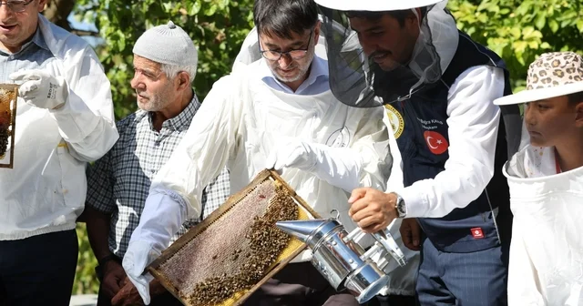 Büyükşehir ve üretici el ele Bursa da bal hasadı başladı Büyükşehir den arı yetiştiricilerine kovan desteği Bursa Haberleri Habertürk Yerel Haberler