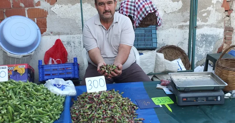 Kilosu 300 liraya çıktı çiftçinin yüzü güldü: Sayesinde cebimiz para gördü