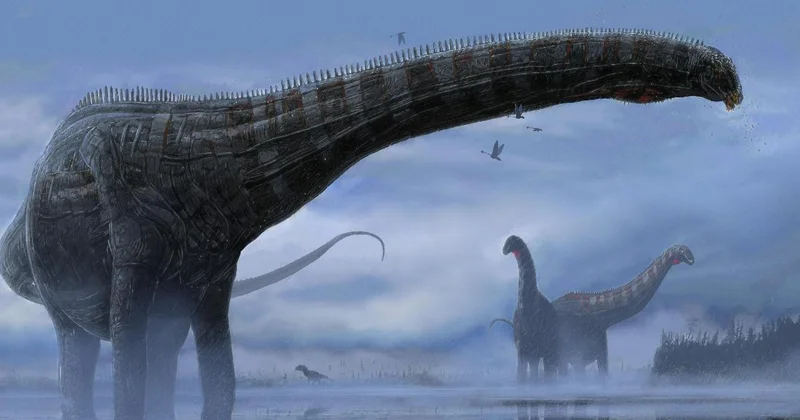 Afrika da 210 milyon yıllık yeni bir dinozor türü keşfedildi