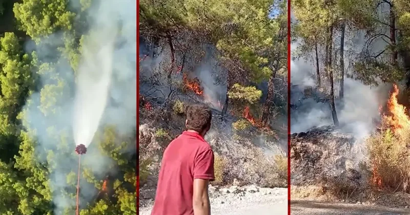 Manavgat ta orman yangını: 75 personel bölgede!
