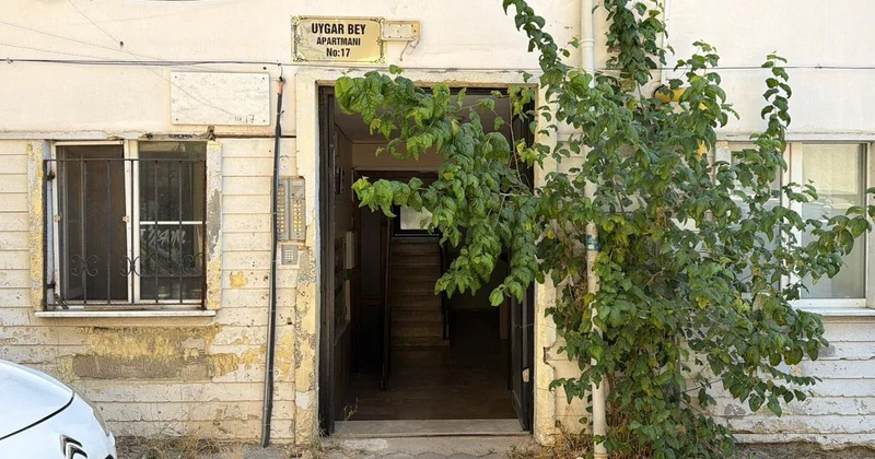 İş arkadaşları haber alamadı! Genç akademisyen evinde ölü bulundu