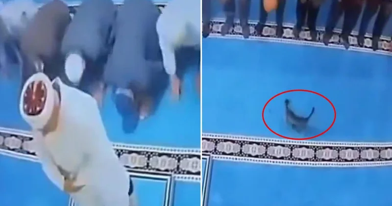Namazda akılalmaz olay! Tekmelediği kedi imamın başına çarptı