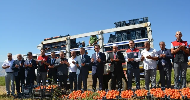 Bitlis te domates hasadı başladı: Bölgede 1 inci, Türkiye de 7 nci sırada Bitlis Haberleri Habertürk Yerel Haberler