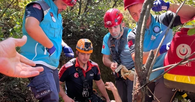 Doğa yürüyüşü sırasında 7 metre çukura düşerek yaralandı Yalova Haberleri Habertürk Yerel Haberler