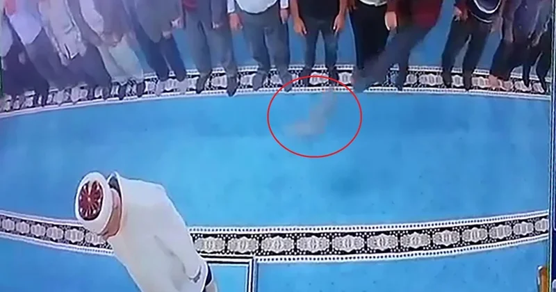 Kediyi tekmeleyip imamın kafasına atmıştı! Gözaltına alındı Sözcü Gazetesi