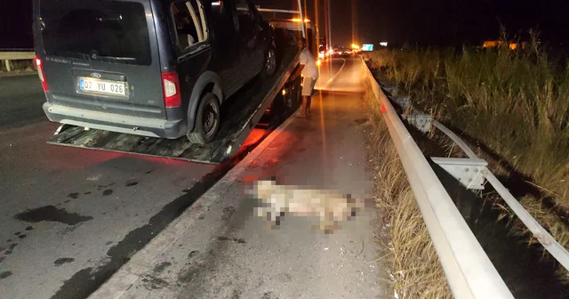Hafif ticari araç köpeğe çarpıp devrildi, arkadan gelen 5 araç birbirine girdi Antalya Haberleri Habertürk Yerel Haberler