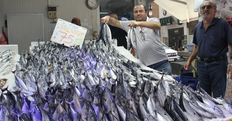 200 kasa balık sadece 1 saatte kapış kapış satıldı Sözcü Gazetesi